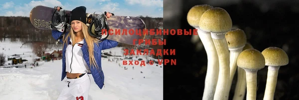 COCAINE Каменка