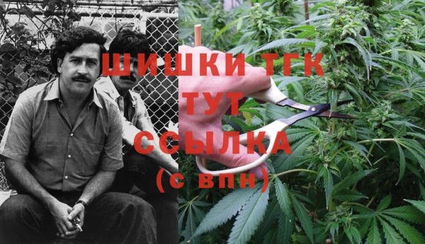 МДМА Карпинск