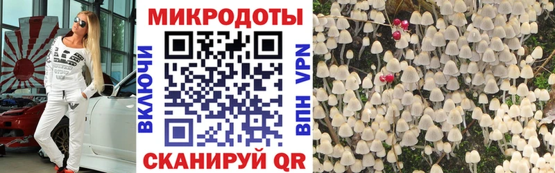 Галлюциногенные грибы Cubensis  Купить  Заволжье 